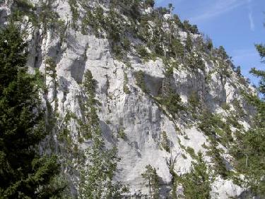 paysage à la descente