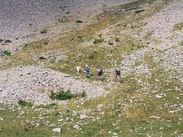 tous derrière et lui devant...