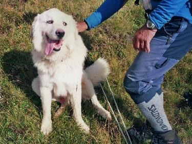 Gros plan sur notre GHM