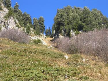 Le couloir Sud, herbeux et raide