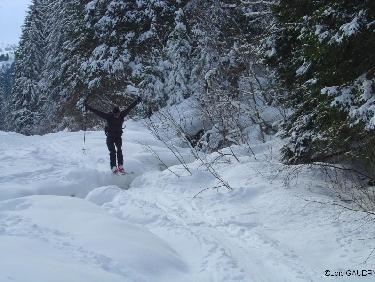 Vol à skis
