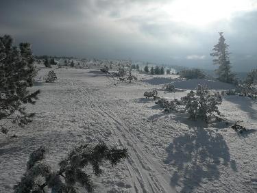 La toundra vosgienne