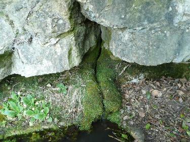 Source pure et profonde