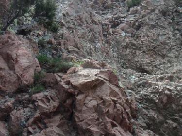 vers les petites grues