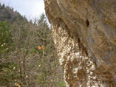Paysage au pied des falaises2