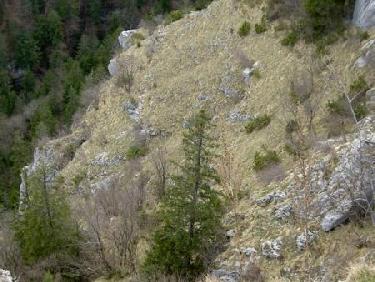 Fin de la vire médiane vue du haut