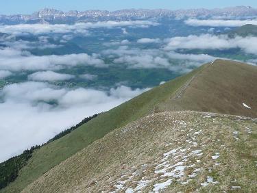 Déco Sud (à gauche)