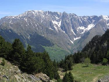 Prairie de la Chinarde