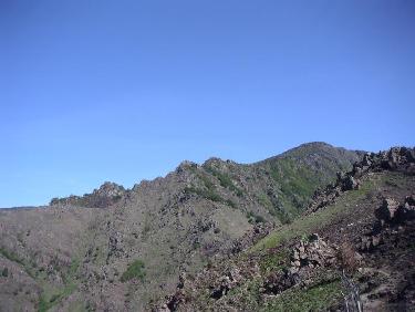 Mont Aigoual