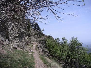 Mont Aigoual