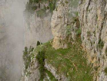 Brêche en dessous de la tête du petit jardin