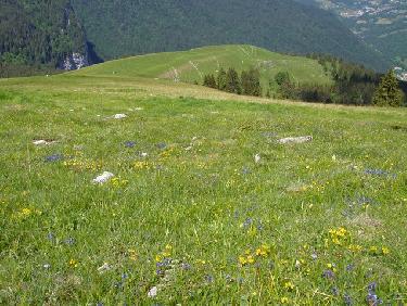 Prairie du Grand Manti