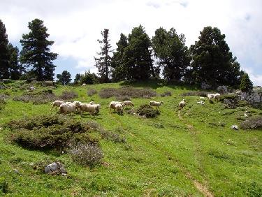 Après le pas de la Rousse