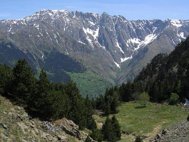 la prairie de la Chinarde