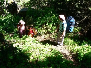 Dans le sous bois menant à la Croix de Triandou