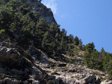 Le pierrier sous le col