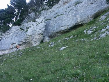 Sous le pas de l&apos;Arche