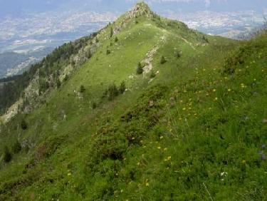 Mont Saint Mury