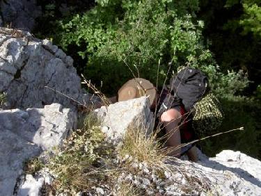 En montant au palais