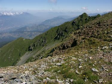 Dans le haut de la face