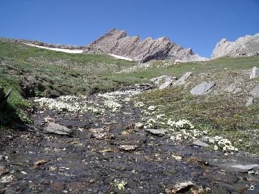 Arête de la Taillante.