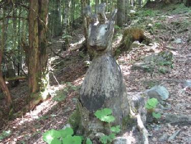 le 1er gardien de la Forêt