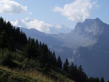 Panorama sur le Mont Blanc