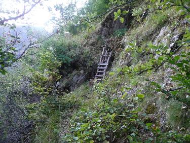 Echelle de Chasseur sur le sentier sauvage