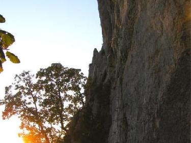 Debut de la partie vertical