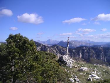 Tête du petit Jardin