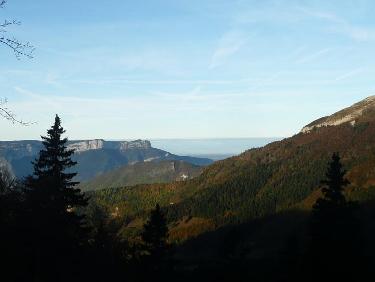 Vers le Nord, la Pinéa