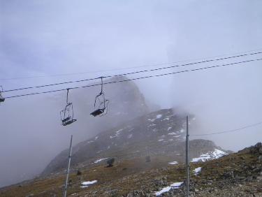 petite et grande Moucherolle