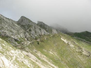 Au sortir de la zone boisée