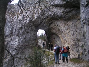 arche -tunnel