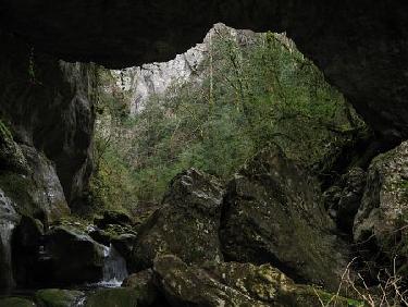 le pont de la Reine ?