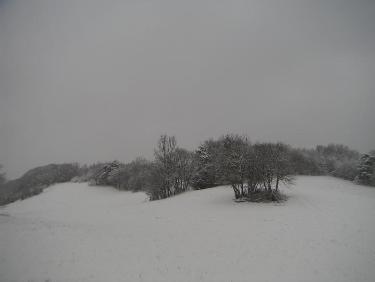 même prairie sommitale...