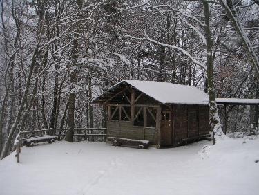 cabane