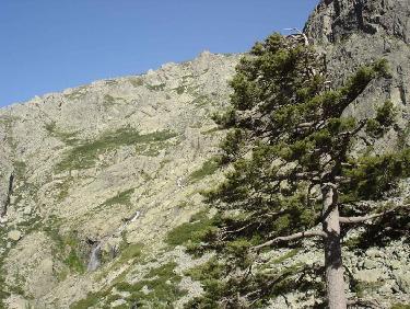 du départ, la face de montée