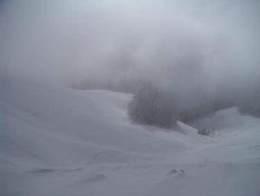 ma trace dans la prairie du col