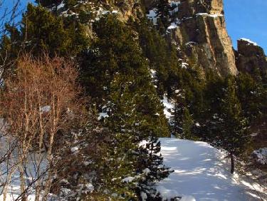 Dent d&apos;Alexandre