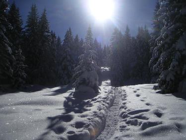 vers la croix de l&apos;Alpe