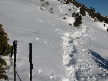 Bonne épaisseur de neige
