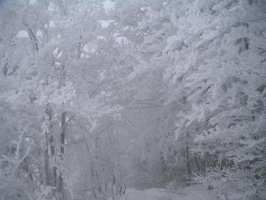 vers la pointe de la Lentille