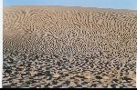 Desert de sable