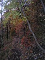 Sentier aux couleurs d'automne