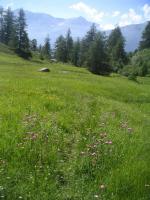 A gauche la Pousterle...