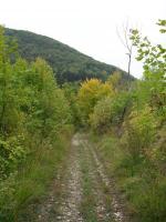 Pas encore beaucoup de couleurs