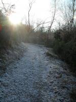 Enfin un bain de soleil