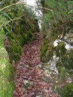 Mon passage préféré