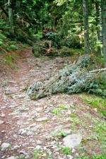 DÃ©but de la montÃ©e aprÃ¨s le guÃ©